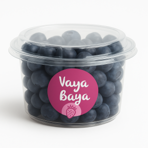 tienda 4 Arándanos 1 kg